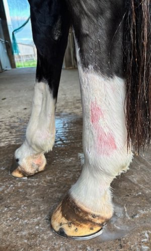 image0.jpeg image0.jpeg