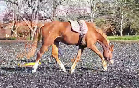 2025-03-29T19_04_56.597537~2.png 2025-03-29T19_04_56.597537~2.png