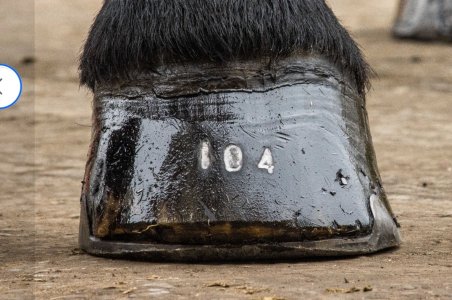 Screenshot_20250331_072010_Chrome.jpg Screenshot_20250331_072010_Chrome.jpg