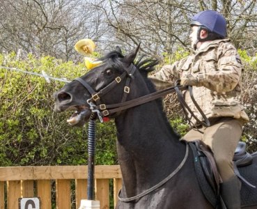 Screenshot_20250331_072041_Chrome.jpg Screenshot_20250331_072041_Chrome.jpg