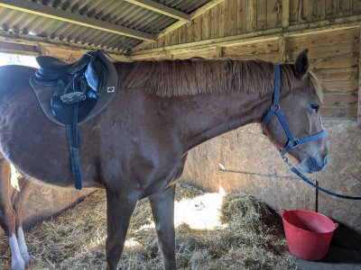 PXL_20250331_103355729 (1) (1).jpg PXL_20250331_103355729 (1) (1).jpg