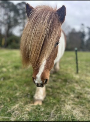 IMG_3365.jpeg IMG_3365.jpeg