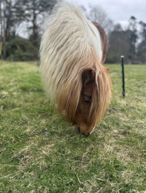 IMG_3366.jpeg IMG_3366.jpeg