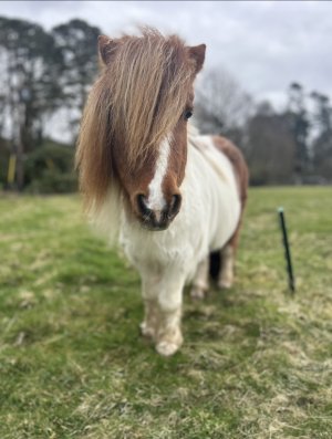 IMG_3368.jpeg IMG_3368.jpeg