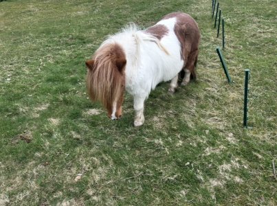 IMG_3369.jpeg IMG_3369.jpeg