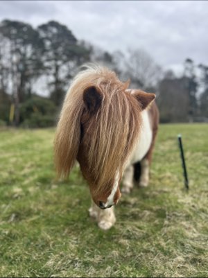 IMG_3367.jpeg IMG_3367.jpeg