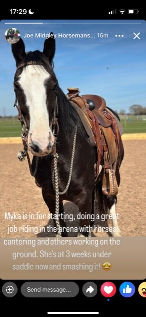 F251B276-67F8-44BD-A37D-FADD2B867CC3.jpeg F251B276-67F8-44BD-A37D-FADD2B867CC3.jpeg