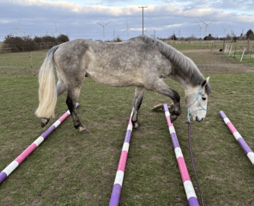 Screenshot 2025-03-31 at 20.23.31.png