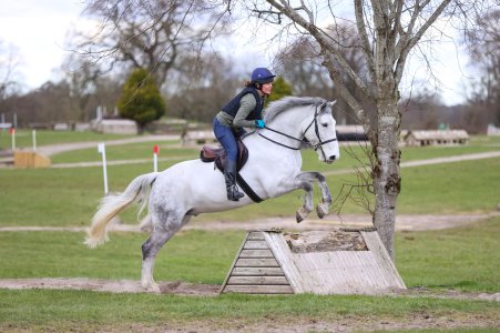 480960367_10229062387048338_488663054790701072_n (1).jpg