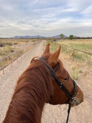 IMG_8052.jpeg IMG_8052.jpeg