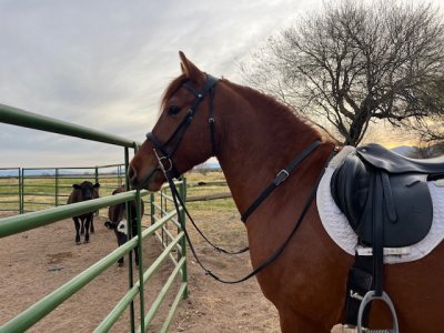 IMG_8064.jpeg IMG_8064.jpeg