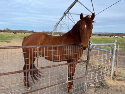 IMG_8076.jpeg IMG_8076.jpeg