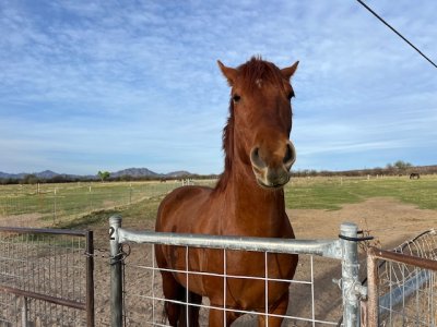 IMG_8100.jpeg IMG_8100.jpeg