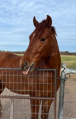 IMG_8111.jpeg IMG_8111.jpeg