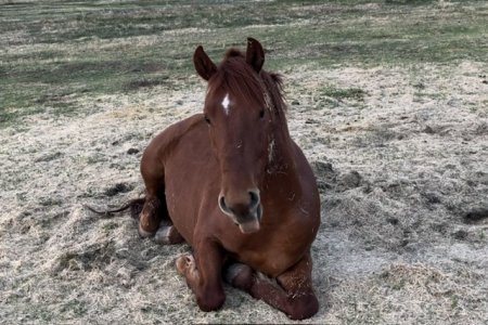 IMG_8115.jpeg IMG_8115.jpeg