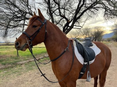 IMG_8058.jpeg IMG_8058.jpeg