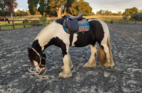 20250402_205059.jpg 20250402_205059.jpg