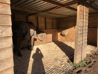 IMG_1644.jpeg IMG_1644.jpeg