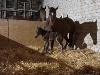 20250402_224951(2).jpg 20250402_224951(2).jpg