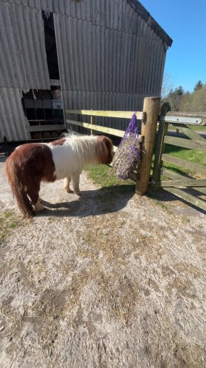 IMG_3448.jpeg IMG_3448.jpeg