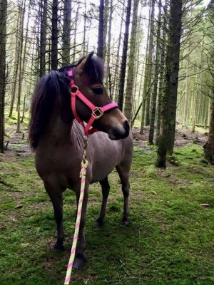 IMG_8067.jpeg IMG_8067.jpeg