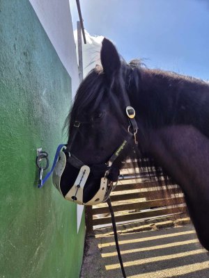 488267409_1554606775200137_2653650826164554304_n (1).jpg 488267409_1554606775200137_2653650826164554304_n (1).jpg