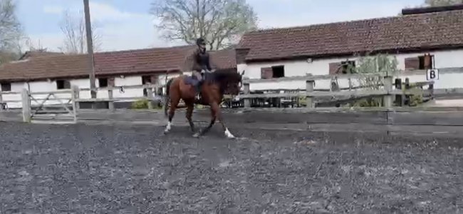 Screenshot_20250404_154036_Video Player.jpg Screenshot_20250404_154036_Video Player.jpg