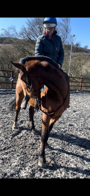 488823868_9537348953011767_8041679780585358274_n.jpg 488823868_9537348953011767_8041679780585358274_n.jpg