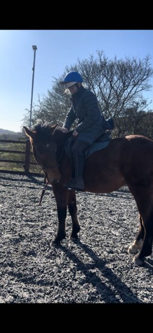 488922708_9537346679678661_810897021643894360_n.jpg 488922708_9537346679678661_810897021643894360_n.jpg