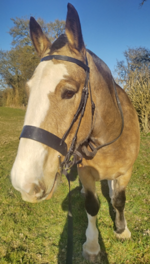 Screenshot_20250406-173756~2.png Screenshot_20250406-173756~2.png