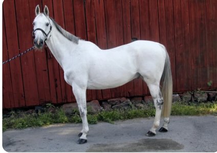 Screenshot_20250407_073205_Chrome.jpg Screenshot_20250407_073205_Chrome.jpg