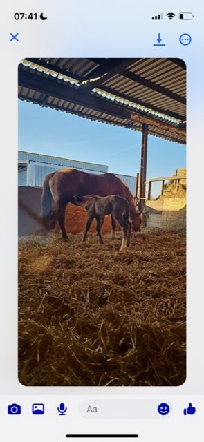 06F7EB7E-6A2A-4081-8C6D-A2880ED07699.jpeg 06F7EB7E-6A2A-4081-8C6D-A2880ED07699.jpeg