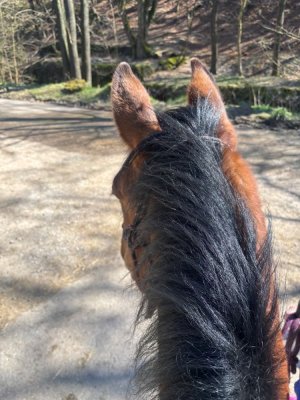 IMG_5370.jpg IMG_5370.jpg