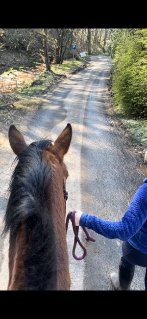 IMG_0827.PNG IMG_0827.PNG