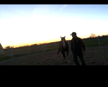 IMG_0826.PNG IMG_0826.PNG