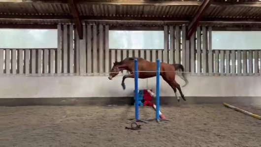 IMG-20250410-WA0008.jpg IMG-20250410-WA0008.jpg