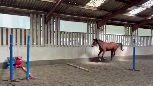 IMG-20250410-WA0010.jpg IMG-20250410-WA0010.jpg