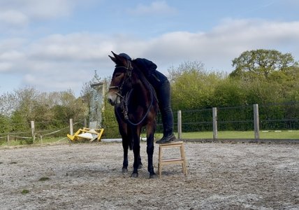 IMG_7573.jpeg IMG_7573.jpeg