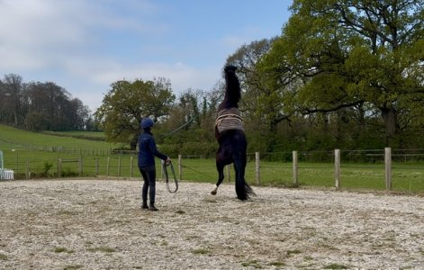 IMG_7572.jpeg IMG_7572.jpeg