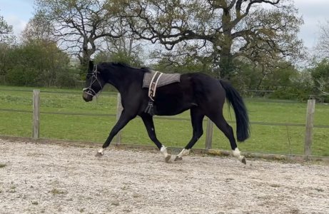 IMG_7574.jpeg IMG_7574.jpeg