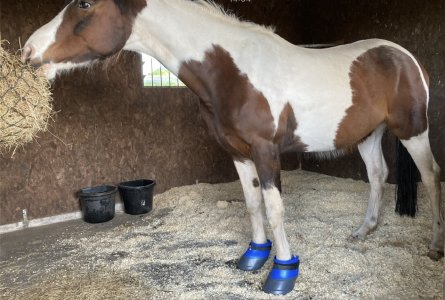 IMG_2299.jpeg IMG_2299.jpeg