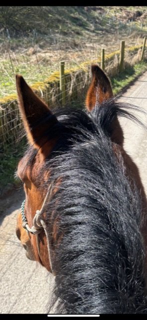 000F7D2C-0997-4CEC-8333-DE8E64A571C0.jpeg 000F7D2C-0997-4CEC-8333-DE8E64A571C0.jpeg