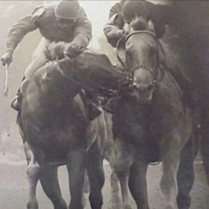 FB_IMG_1744395579414.jpg FB_IMG_1744395579414.jpg