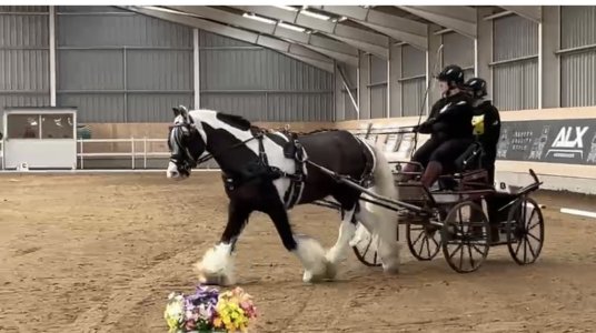 896F9C6D-12DE-43D1-8123-229A17813714.jpeg 896F9C6D-12DE-43D1-8123-229A17813714.jpeg