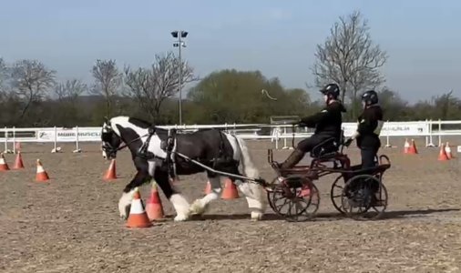 6AB062F2-66D0-49DD-A3FE-5AA815635FBB.jpeg 6AB062F2-66D0-49DD-A3FE-5AA815635FBB.jpeg