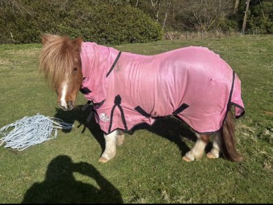 IMG_3876.jpeg IMG_3876.jpeg