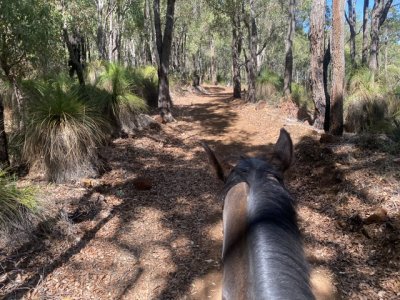 IMG_5790.jpeg IMG_5790.jpeg