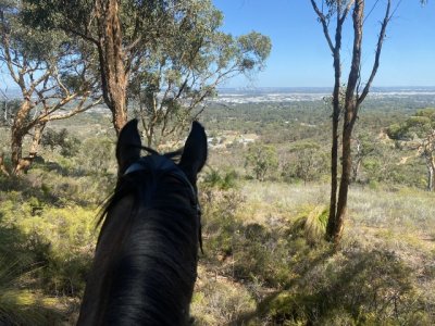 IMG_5795.jpeg IMG_5795.jpeg