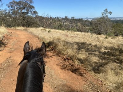 IMG_5797.jpeg IMG_5797.jpeg