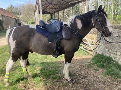 Ghost Ferrara.jpg Ghost Ferrara.jpg